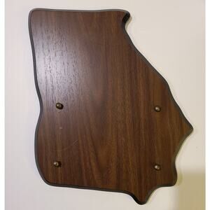 Georgia State Shaped Wood Cut Out Plaque With Pins Wall Hanging 12 x 10